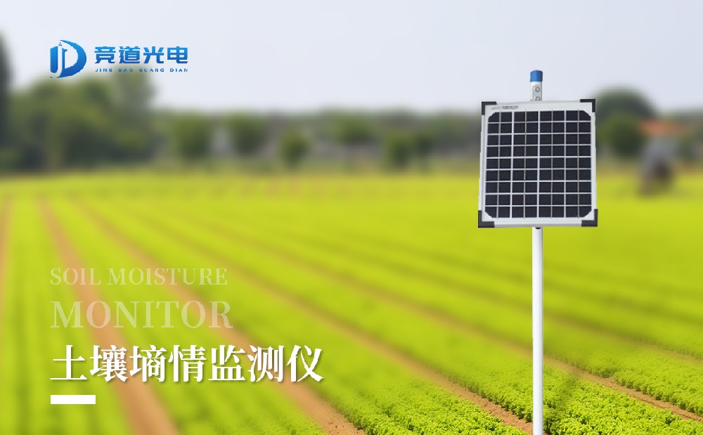 ��ʽ����������վ���ļ��������������ʲô����