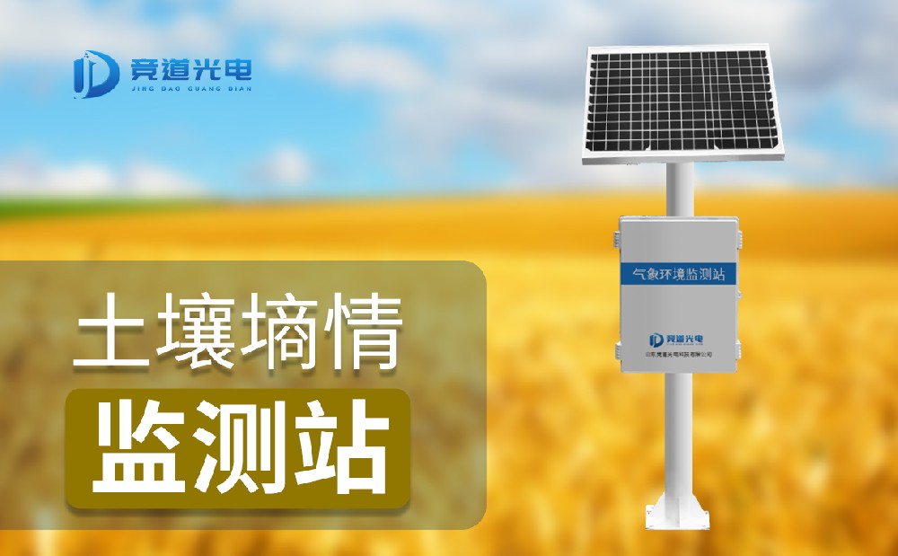 ÄàÍÁÉÊÇé¼à²âÒÇ ÄàÍÁÉÊÇé¼à²âÒÇ