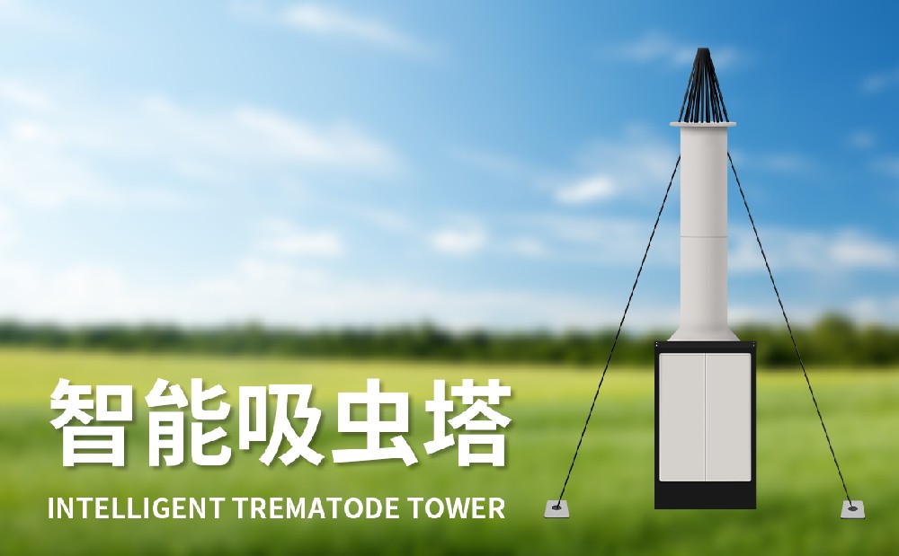 ��������������Ǩ���Գ�����⹤��