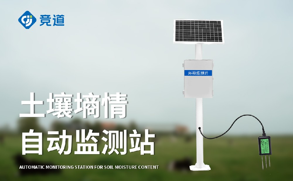 �����������ǵ������������