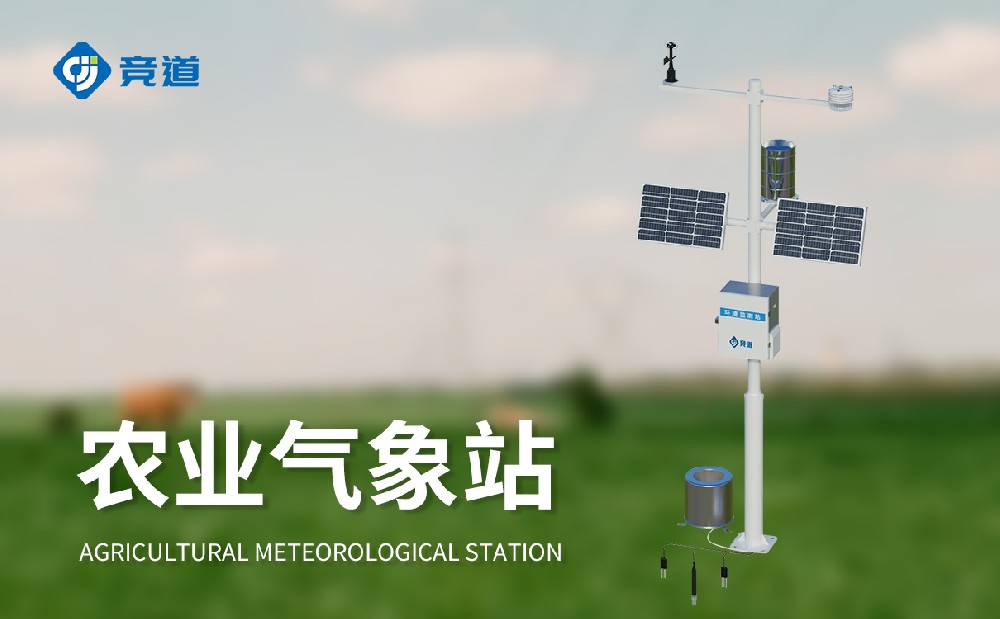 ũ���Զ�����վ����ʳ��������п��ܲ�����Щ����