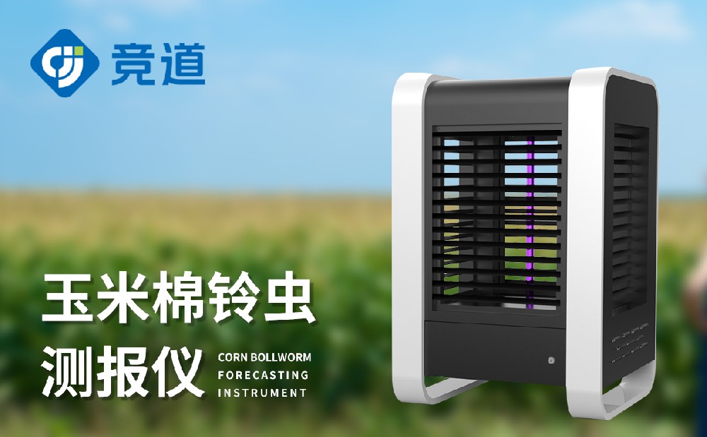 �����ⱨ��