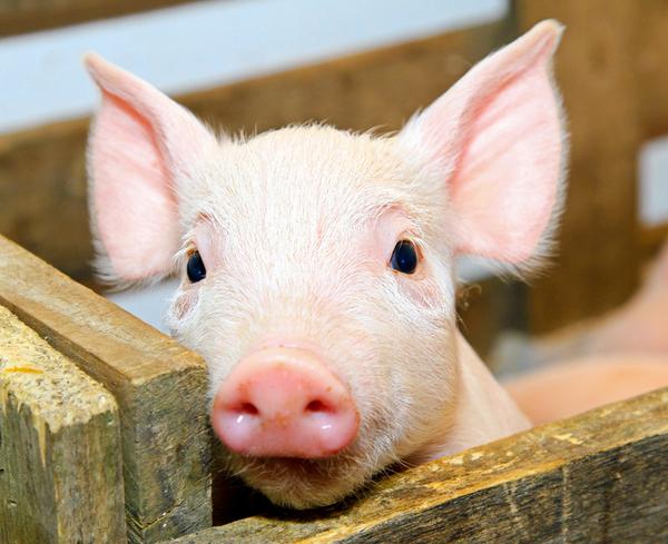 �����������������Щ�ͺ���