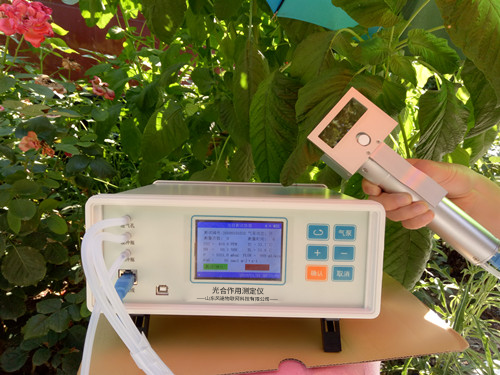 ֲ���������к�������