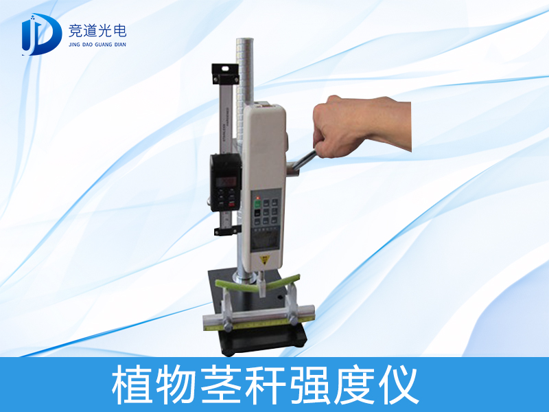 Ϊʲô����ֲ�ﾥ��ǿ����