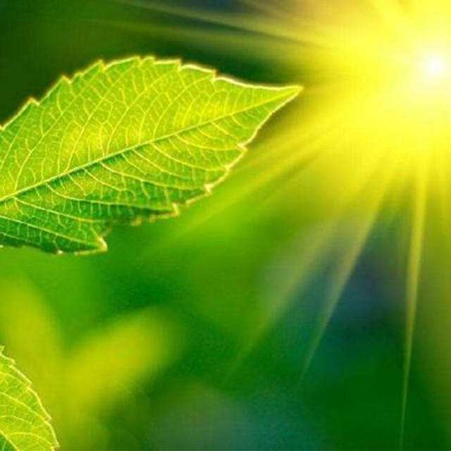 ��Ͽ��ʺ����ڿ���֮��Ĺ�ϵ