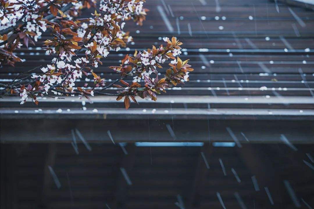 自动形象站厂家