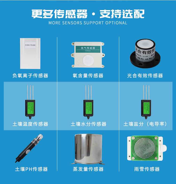 ��������վ