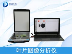 ҶƬͼ�������η�������