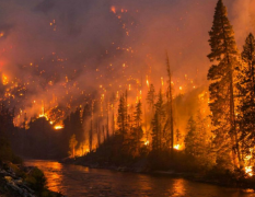 JD-SLQX森猎禅象站防备丛林火警