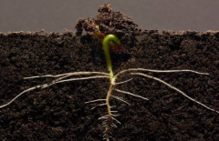 ΪʲôҪ���������л��ʼ����