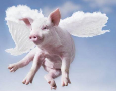 ���������׻������÷��������ļ�⹤����